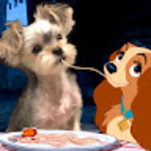 Meet your Posher, Evyn